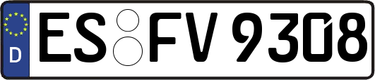 ES-FV9308