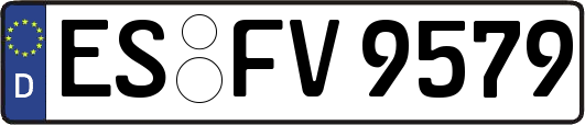 ES-FV9579