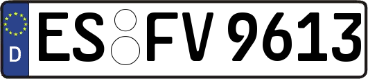 ES-FV9613