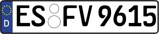 ES-FV9615