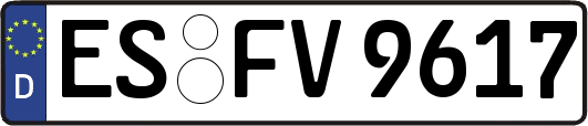 ES-FV9617