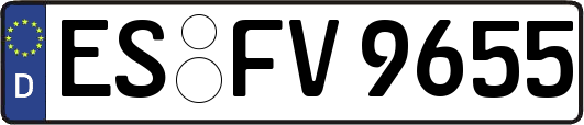 ES-FV9655