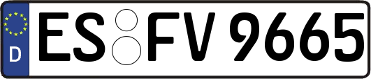 ES-FV9665