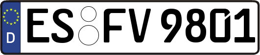 ES-FV9801