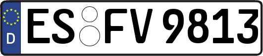 ES-FV9813
