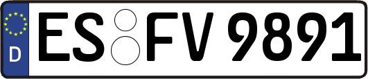 ES-FV9891