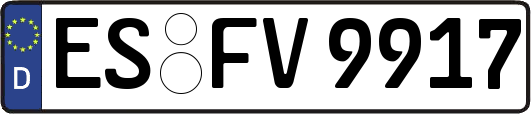 ES-FV9917