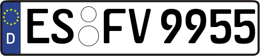 ES-FV9955
