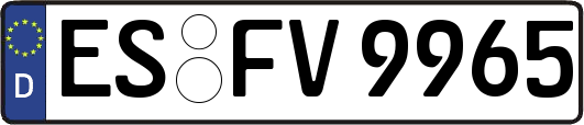 ES-FV9965