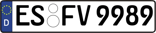 ES-FV9989
