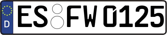 ES-FW0125
