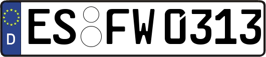 ES-FW0313