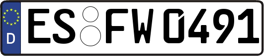 ES-FW0491