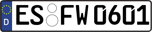 ES-FW0601