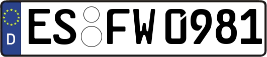 ES-FW0981