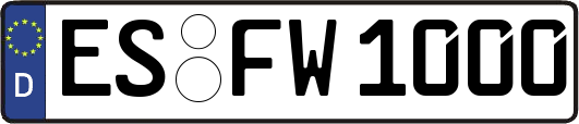 ES-FW1000