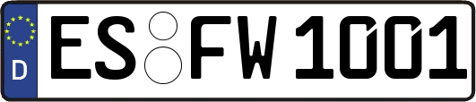 ES-FW1001