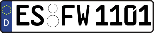 ES-FW1101