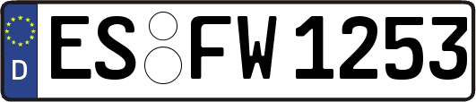 ES-FW1253