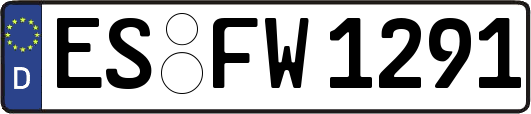 ES-FW1291