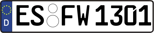ES-FW1301