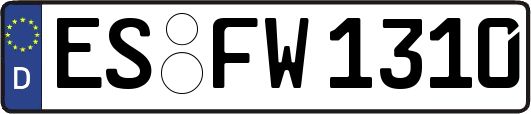 ES-FW1310