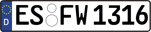 ES-FW1316