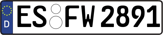 ES-FW2891