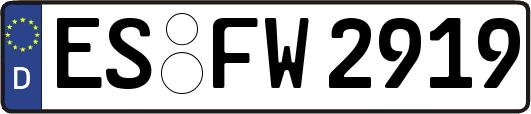 ES-FW2919
