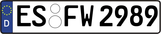 ES-FW2989