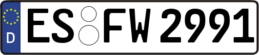 ES-FW2991