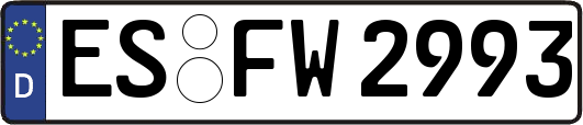 ES-FW2993