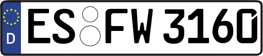 ES-FW3160