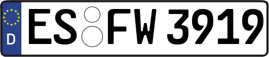 ES-FW3919