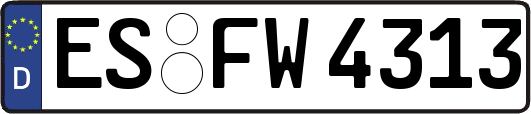 ES-FW4313