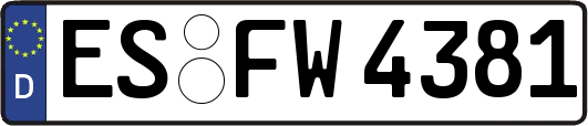 ES-FW4381