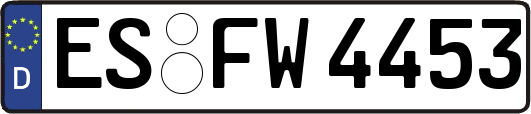 ES-FW4453
