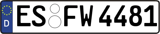 ES-FW4481