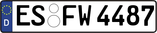 ES-FW4487