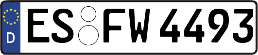 ES-FW4493