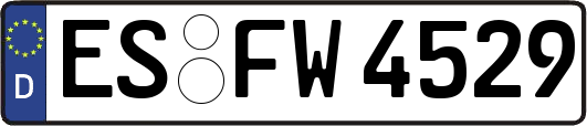 ES-FW4529