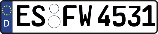 ES-FW4531