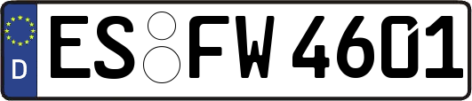 ES-FW4601
