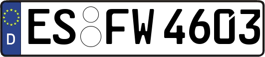 ES-FW4603