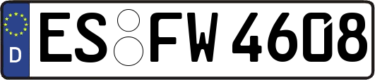 ES-FW4608