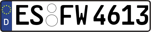 ES-FW4613