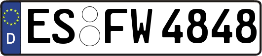 ES-FW4848