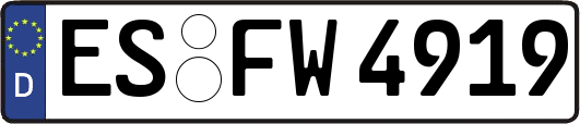 ES-FW4919