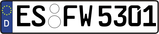 ES-FW5301