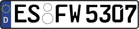 ES-FW5307